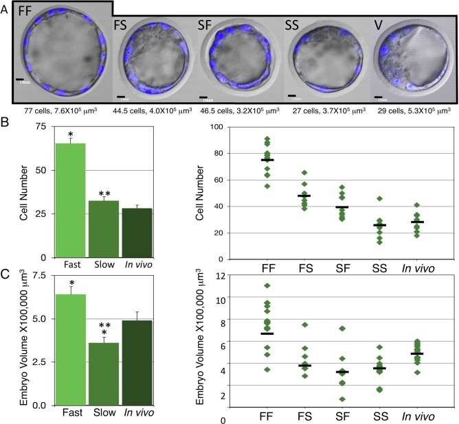 FIG. 2. 