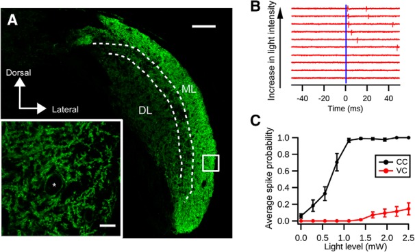 Figure 5.