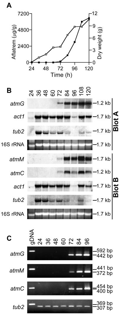 FIG. 5.