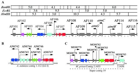 FIG. 3.