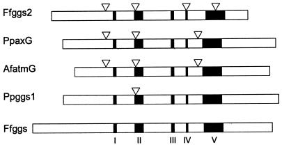 FIG. 4.