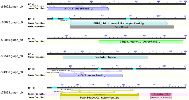 Figure 7