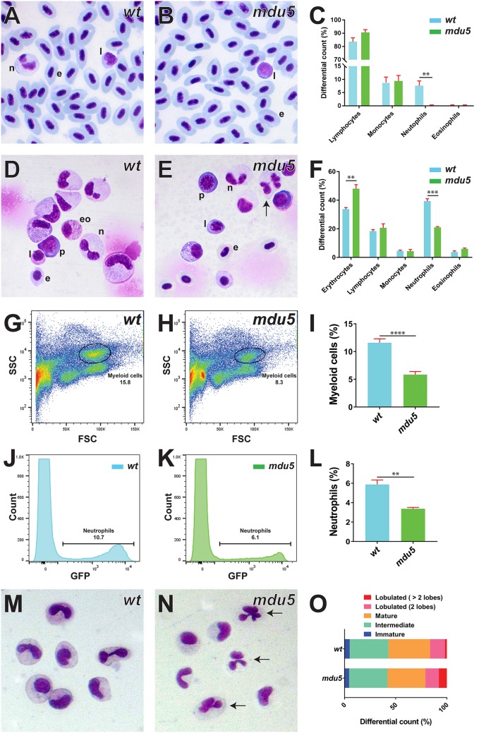 FIG 4