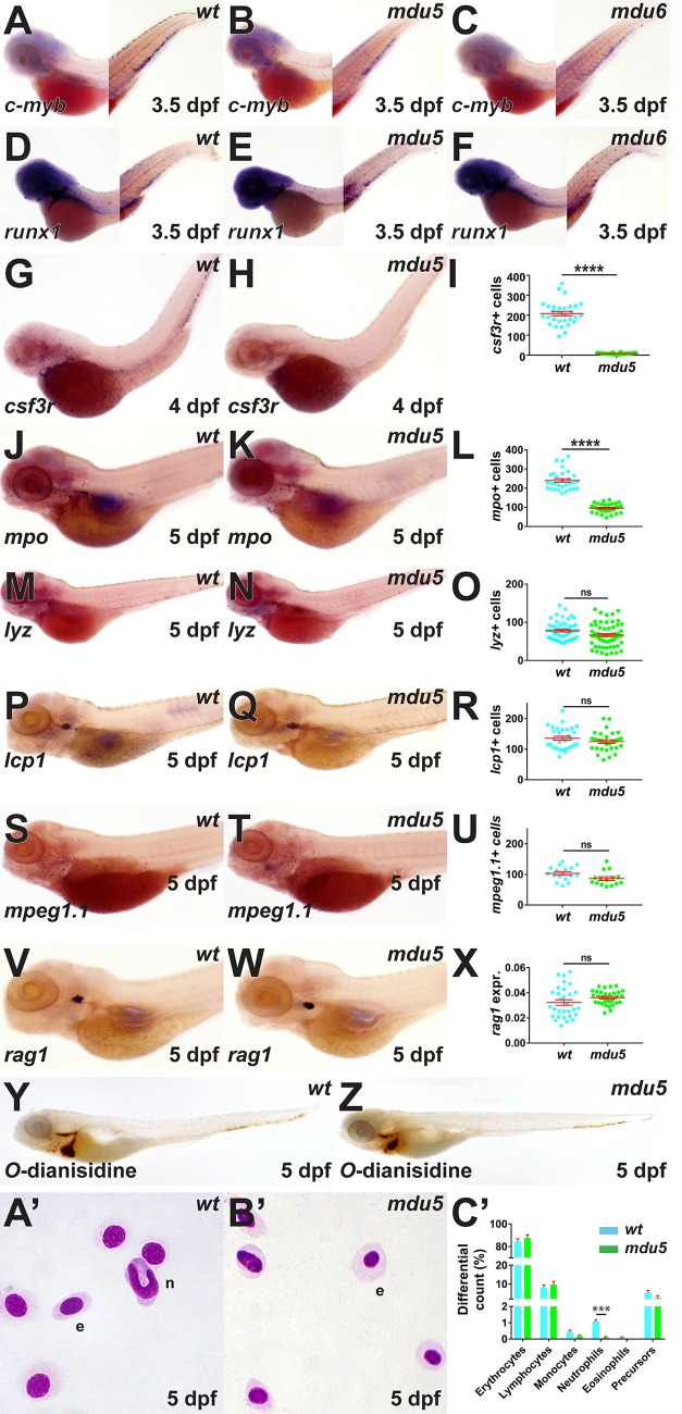 FIG 3