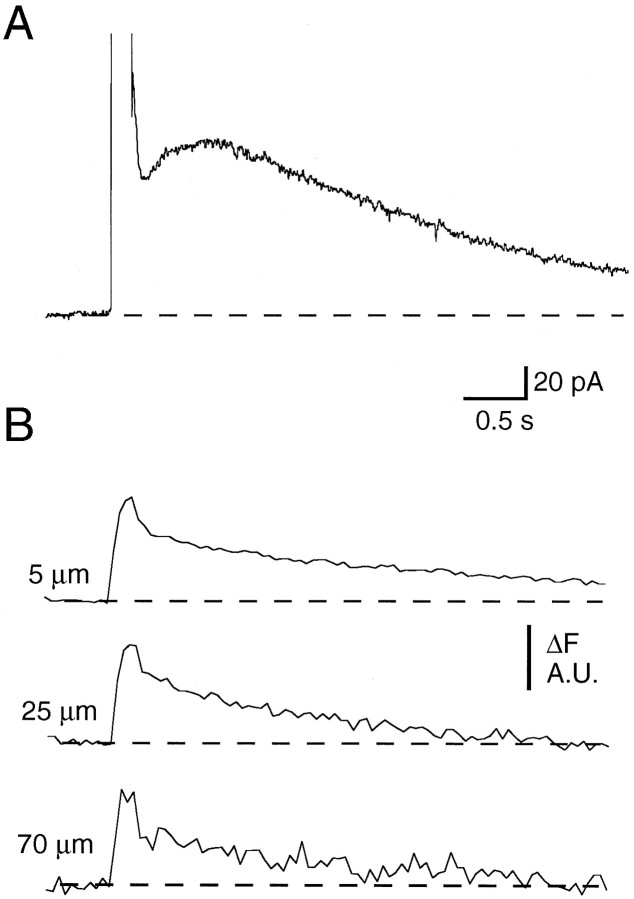 Fig. 6.