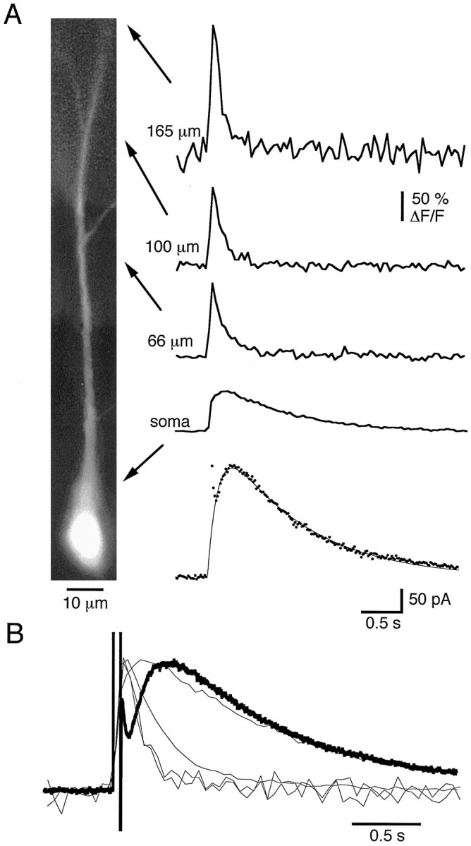 Fig. 1.