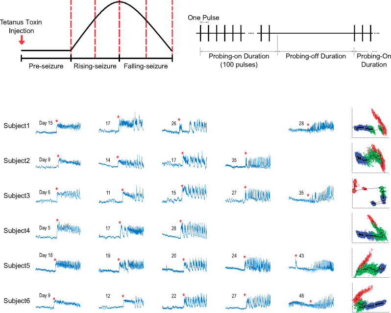 Graphical Abstract