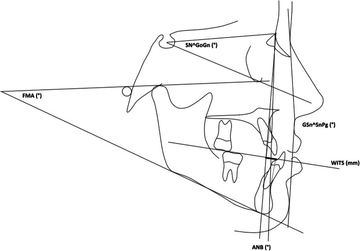 Fig. 1
