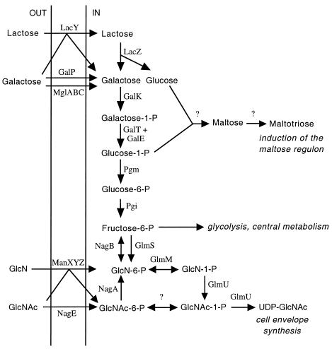 FIG. 4.