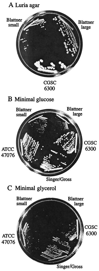 FIG. 3.