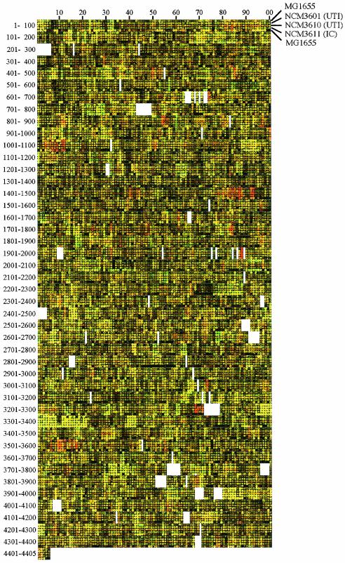 FIG. 6.