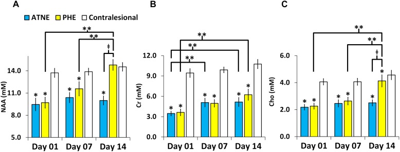 FIGURE 3