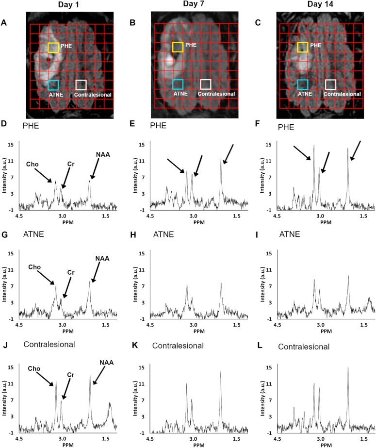 FIGURE 2