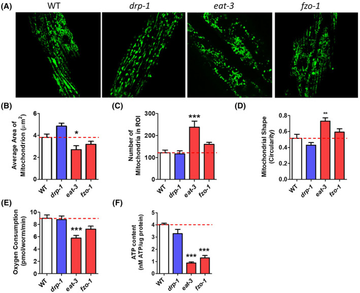 FIGURE 2