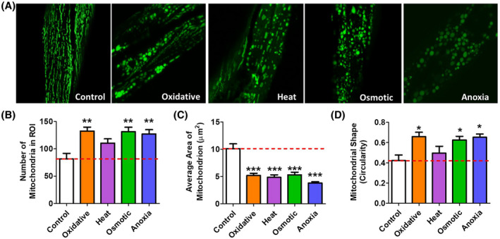 FIGURE 4