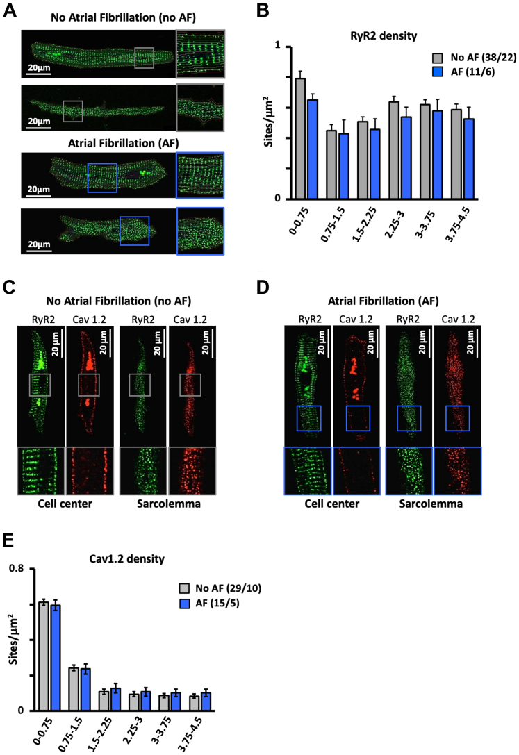 Figure 3