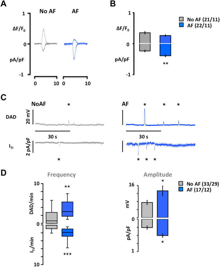 Figure 6