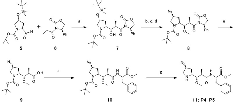 Scheme 1