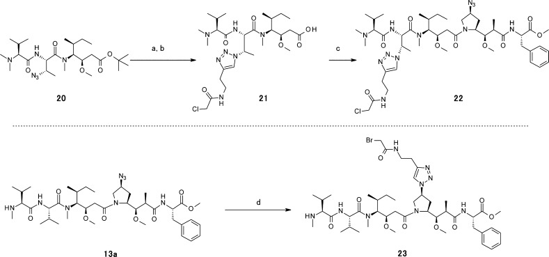 Scheme 4