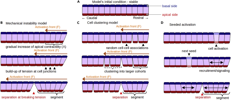 Figure 2