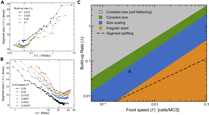 Figure 6