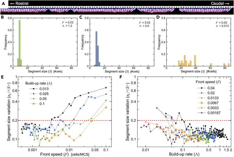 Figure 7