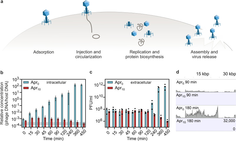 FIG 4