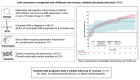 Graphical Abstract