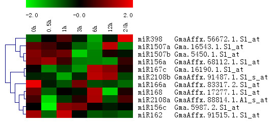 Figure 9