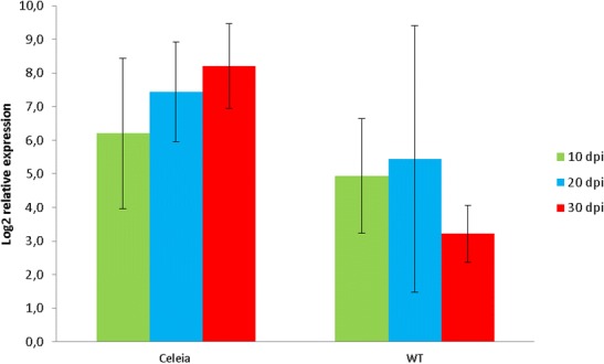 Fig. 2