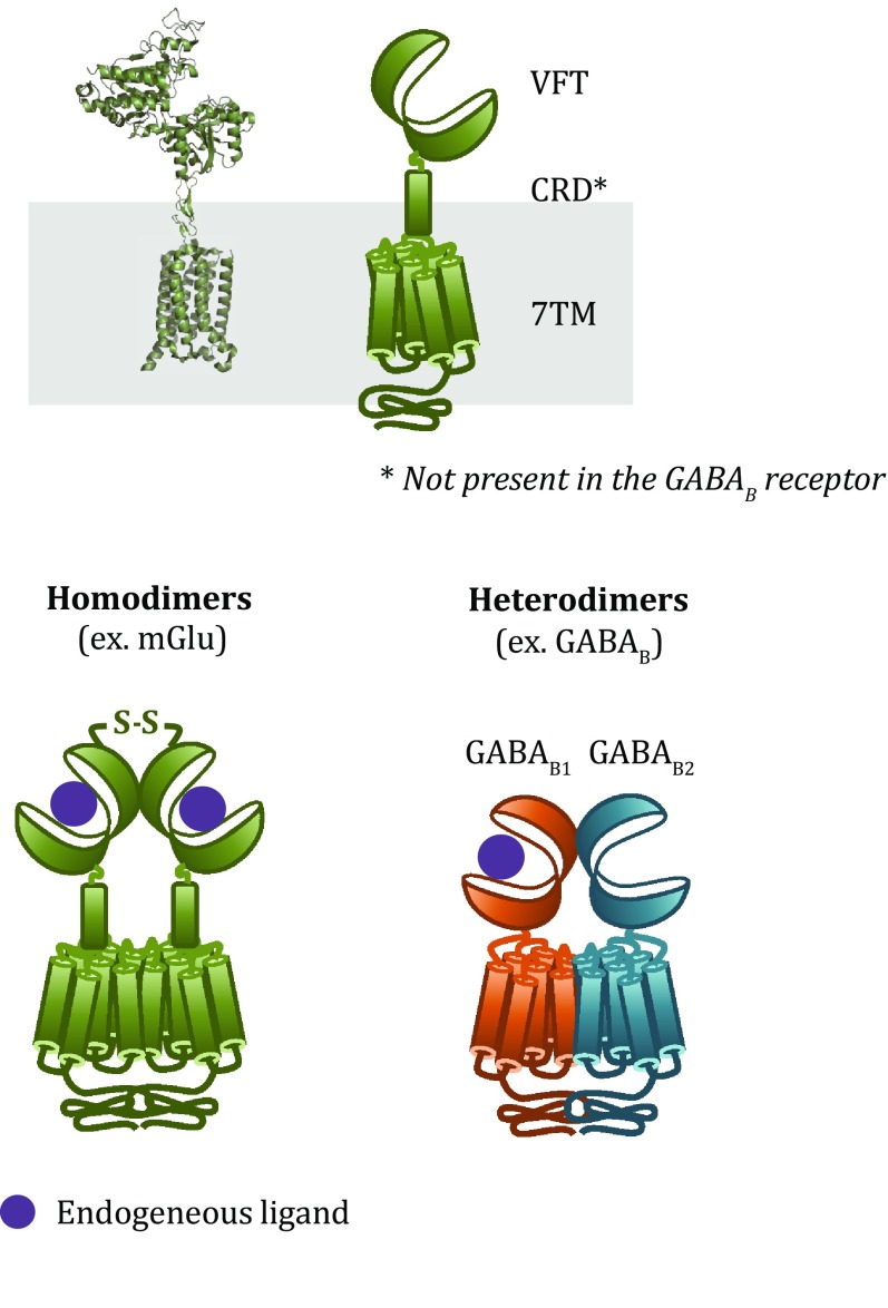 Fig. 1