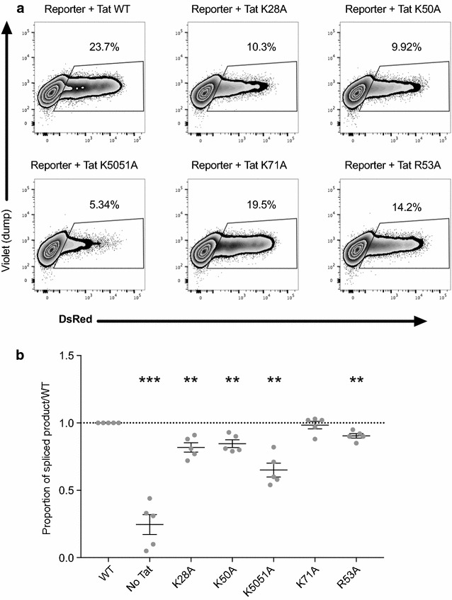 Fig. 6