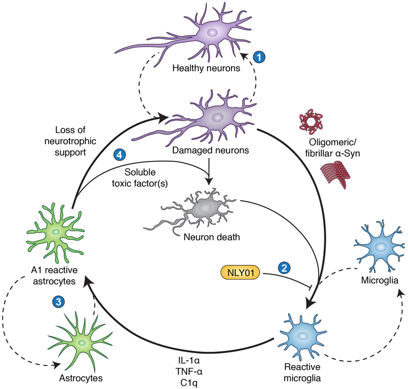 Figure 1: