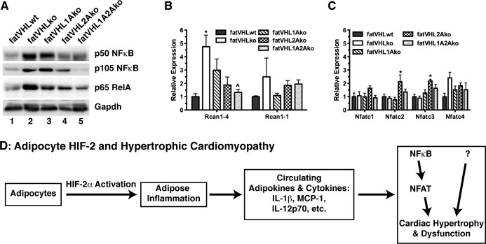 Figure 12.