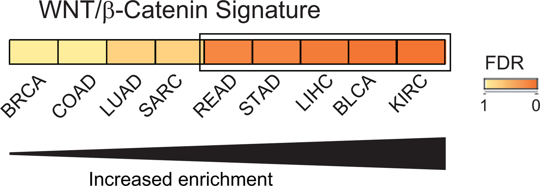 Figure 5: