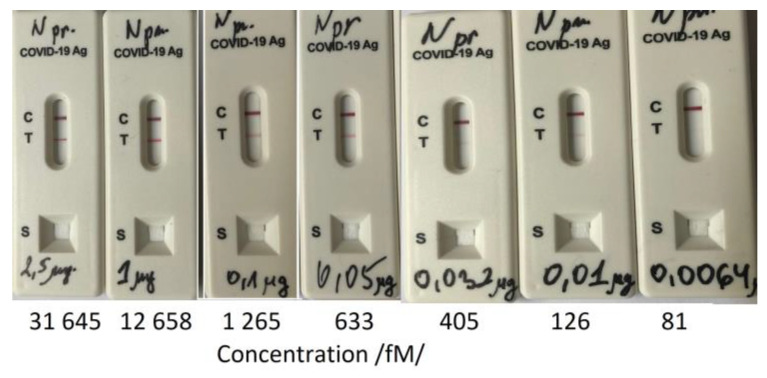 Figure 10