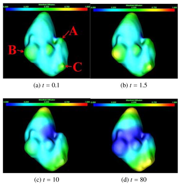 Figure 6