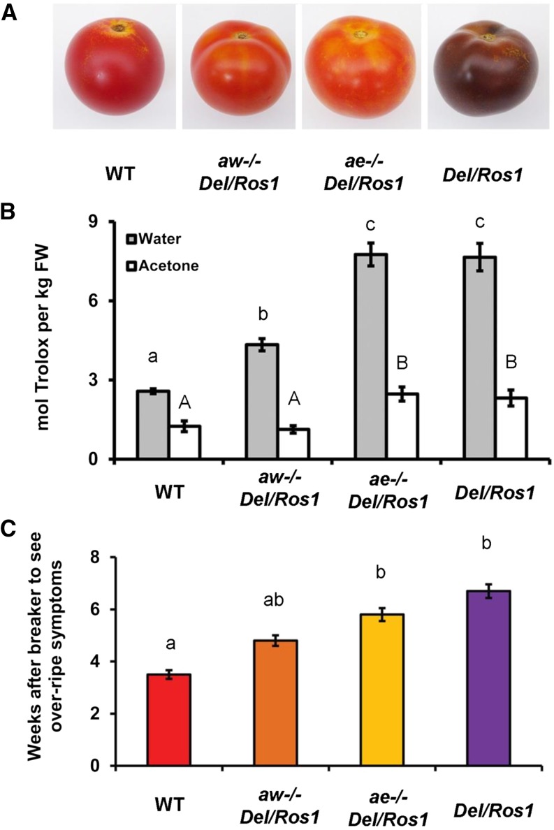 Figure 4.