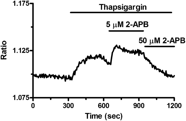 Figure 10