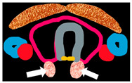 graphic file with name cancers-16-02593-i001.jpg