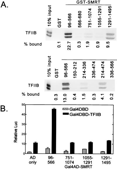 FIG. 5