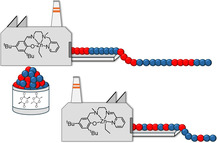 graphic file with name CSSC-18-e202500402-g006.jpg