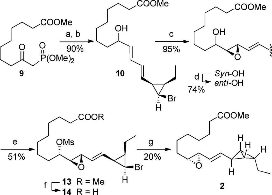 Scheme 4