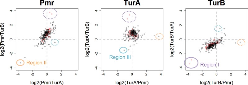 FIG 3