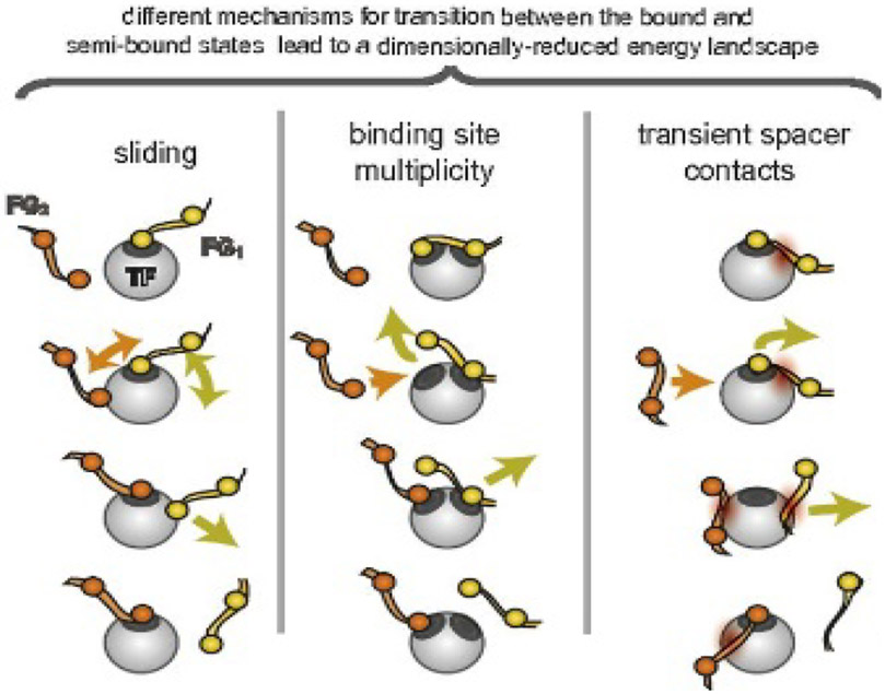 Figure 23.