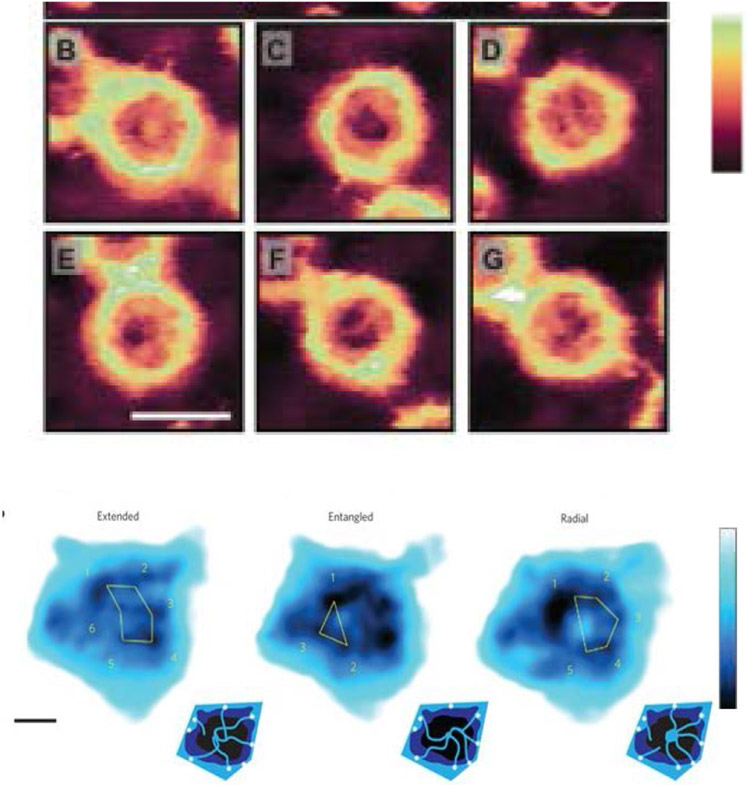 Figure 19.