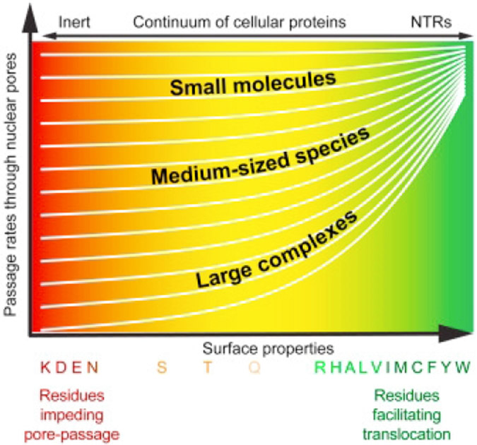 Figure 32.