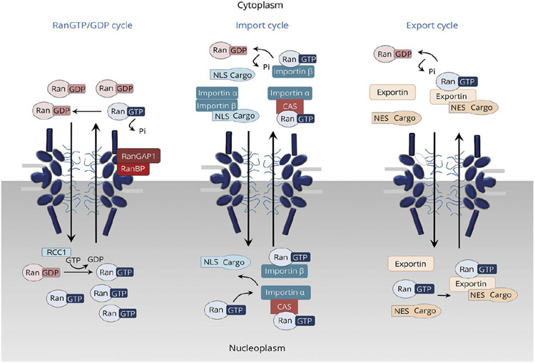 Figure 36.