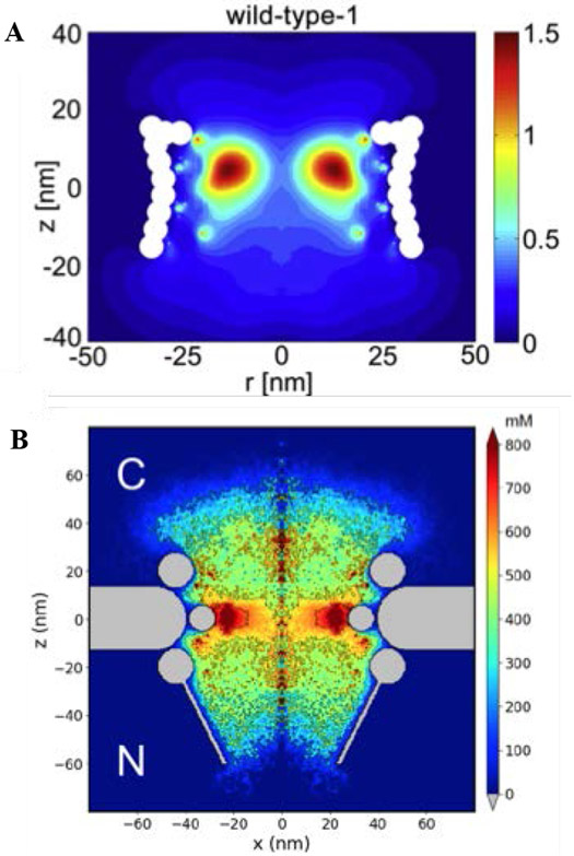 Figure 21.