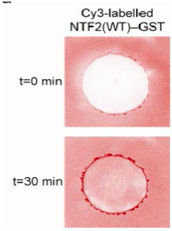 Figure 35.